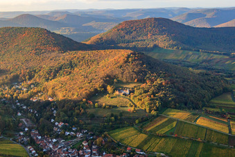 Vue aérienne de Village viticole avec Slevogthof à Leinsweiler dans le département Rhénanie-Palatinat, Allemagne