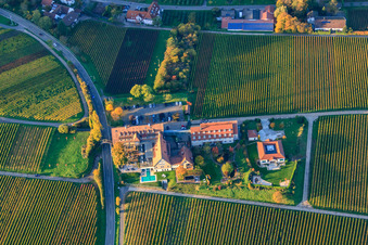 Enregistrement par drone de Hôtel Leinsweiler Courtyard à Leinsweiler dans le département Rhénanie-Palatinat, Allemagne