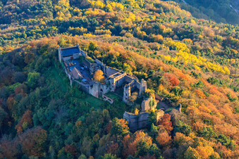 Vue aérienne de Ruines du château de Madenburg dans la forêt aux couleurs d'automne à Eschbach dans le département Rhénanie-Palatinat, Allemagne