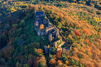 Photographie aérienne de Ruines du château de Madenburg dans la forêt aux couleurs d'automne à Eschbach dans le département Rhénanie-Palatinat, Allemagne