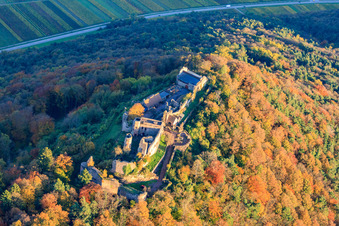 Vue oblique de Ruines du château de Madenburg dans la forêt aux couleurs d'automne à Eschbach dans le département Rhénanie-Palatinat, Allemagne