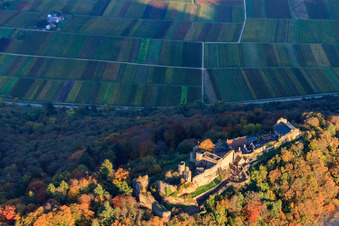 Ruines du château de Madenburg dans la forêt aux couleurs d'automne à Eschbach dans le département Rhénanie-Palatinat, Allemagne d'en haut
