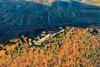 Ruines du château de Madenburg dans la forêt aux couleurs d'automne à Eschbach dans le département Rhénanie-Palatinat, Allemagne hors des airs