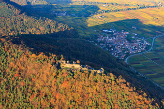 Ruines du château de Madenburg dans la forêt aux couleurs d'automne à Eschbach dans le département Rhénanie-Palatinat, Allemagne depuis l'avion