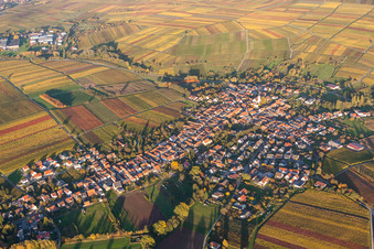 Vue aérienne de Lumière du soir d'automne au bord des champs à Göcklingen dans le département Rhénanie-Palatinat, Allemagne