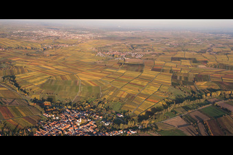 Vue aérienne de Perspective panoramique de la lumière du soir d'automne au bord des champs à Göcklingen dans le département Rhénanie-Palatinat, Allemagne