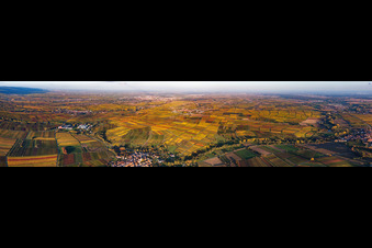 Vue aérienne de Panorama des vignobles de la route des vins du sud de Heuchelheim à Landau à Göcklingen dans le département Rhénanie-Palatinat, Allemagne