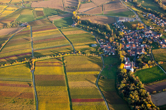Vue oblique de Quartier Appenhofen in Billigheim-Ingenheim dans le département Rhénanie-Palatinat, Allemagne
