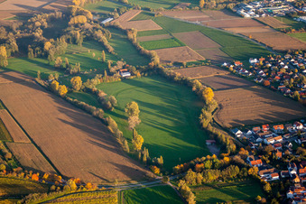 Vue aérienne de Piste à le quartier Billigheim in Billigheim-Ingenheim dans le département Rhénanie-Palatinat, Allemagne