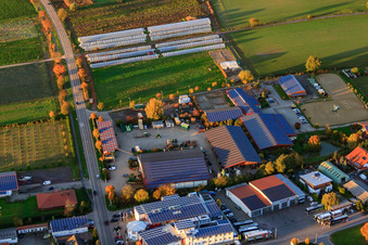 Vue aérienne de Magasin de légumes Richard Eichenlaub, vétérinaire Gabriele Eichenlaub et centre équestre Eichenlaub à Herxheim bei Landau dans le département Rhénanie-Palatinat, Allemagne