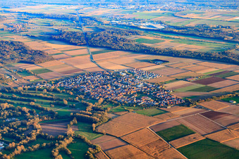 Vue aérienne de Vue de la ville depuis le nord-ouest à Steinweiler dans le département Rhénanie-Palatinat, Allemagne