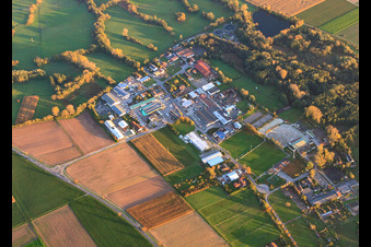 Vue aérienne de Zone industrielle Industriestr à Billigheim-Ingenheim dans le département Rhénanie-Palatinat, Allemagne