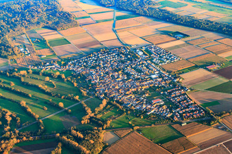 Photographie aérienne de Vue de la ville depuis le nord-ouest à Steinweiler dans le département Rhénanie-Palatinat, Allemagne