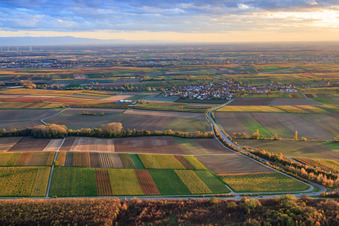 Vue aérienne de Parcours de la B38 vers le sud à Impflingen dans le département Rhénanie-Palatinat, Allemagne