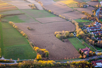 Enregistrement par drone de Landau in der Pfalz dans le département Rhénanie-Palatinat, Allemagne