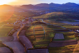 Vue aérienne de Village viticole dans les vignes dans les feuilles d'automne au coucher du soleil à le quartier Wollmesheim in Landau in der Pfalz dans le département Rhénanie-Palatinat, Allemagne