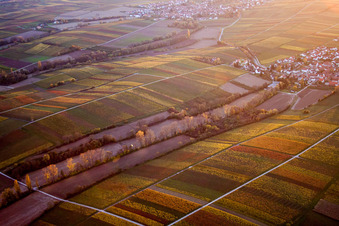 Vue aérienne de Structures sur les champs agricoles du district de Wollmesheim à Landau in der Pfalz dans le département Rhénanie-Palatinat, Allemagne