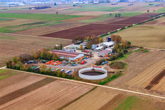 Vue oblique de Jardinier - Services, service de conteneurs, élimination, démolition et transport à Bellheim dans le département Rhénanie-Palatinat, Allemagne
