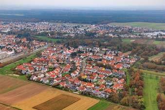 Vue aérienne de Rue Robert Koch à Bellheim dans le département Rhénanie-Palatinat, Allemagne