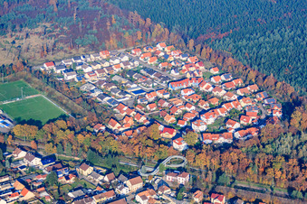 Vue aérienne de Établissement dans la forêt de la Wiesentaler Allee à le quartier Huttenheim in Philippsburg dans le département Bade-Wurtemberg, Allemagne