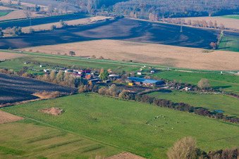 Vue oblique de Ferme des cigognes à le quartier Rußheim in Dettenheim dans le département Bade-Wurtemberg, Allemagne