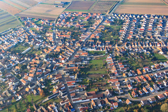Photographie aérienne de Rue Bellheimer à Hördt dans le département Rhénanie-Palatinat, Allemagne