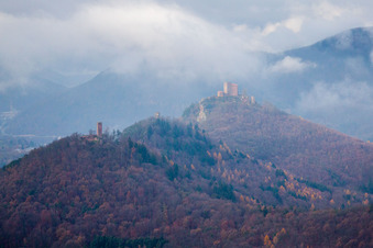 Vue oblique de Complexe du château de Veste Burg Trifels à Annweiler am Trifels dans le département Rhénanie-Palatinat, Allemagne
