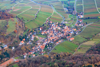 Vue aérienne de Ville viticole de l'ouest à Leinsweiler dans le département Rhénanie-Palatinat, Allemagne
