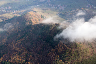 Vue aérienne de Hohenberg à Annweiler am Trifels dans le département Rhénanie-Palatinat, Allemagne