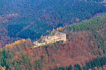 Vue d'oiseau de Ruines du château de Neuscharfeneck à Flemlingen dans le département Rhénanie-Palatinat, Allemagne