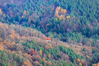 Photographie aérienne de Maison des Amis de la Nature Kiesbuckel à Frankweiler dans le département Rhénanie-Palatinat, Allemagne