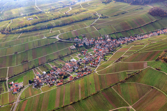Vue aérienne de Village viticole entre vignes nues à Ranschbach dans le département Rhénanie-Palatinat, Allemagne