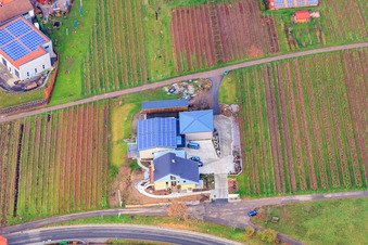 Vue aérienne de Domaine viticole Gies-Düppel à Birkweiler dans le département Rhénanie-Palatinat, Allemagne