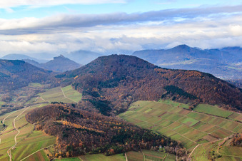 Vue aérienne de Hohenberg dans la forêt du Palatinat à Birkweiler dans le département Rhénanie-Palatinat, Allemagne