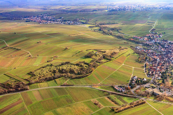 Vue aérienne de Réserve naturelle de Kleine Kalmit en hiver depuis le nord à le quartier Arzheim in Landau in der Pfalz dans le département Rhénanie-Palatinat, Allemagne