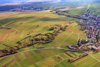 Vue aérienne de Réserve naturelle de Kleine Kalmit en hiver depuis le nord à le quartier Arzheim in Landau in der Pfalz dans le département Rhénanie-Palatinat, Allemagne