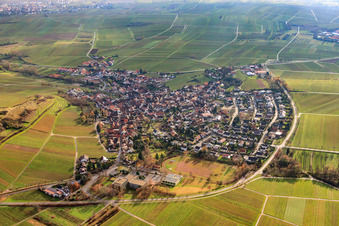 Vue aérienne de Village viticole entre les vignes nues du nord à Ilbesheim bei Landau dans le département Rhénanie-Palatinat, Allemagne