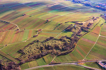 Photographie aérienne de Réserve naturelle de Kleine Kalmit en hiver depuis le nord à le quartier Arzheim in Landau in der Pfalz dans le département Rhénanie-Palatinat, Allemagne