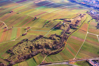 Vue oblique de Réserve naturelle de Kleine Kalmit en hiver depuis le nord à le quartier Arzheim in Landau in der Pfalz dans le département Rhénanie-Palatinat, Allemagne