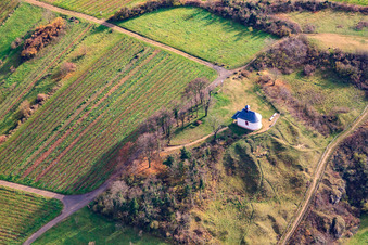 Vue aérienne de Chapelle « Kleine Kalmit » dans la réserve naturelle de Kleine Kalmit en hiver depuis le nord à le quartier Arzheim in Landau in der Pfalz dans le département Rhénanie-Palatinat, Allemagne