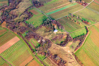 Photographie aérienne de Chapelle « Kleine Kalmit » dans la réserve naturelle de Kleine Kalmit en hiver depuis le nord à le quartier Arzheim in Landau in der Pfalz dans le département Rhénanie-Palatinat, Allemagne
