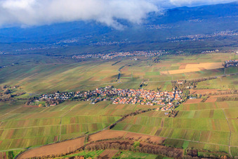 Vue aérienne de Village viticole entre les vignes nues du sud à le quartier Wollmesheim in Landau in der Pfalz dans le département Rhénanie-Palatinat, Allemagne