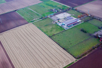 Enregistrement par drone de Ottersheim bei Landau dans le département Rhénanie-Palatinat, Allemagne