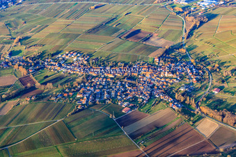 Vue aérienne de Village viticole en hiver entre les vignes nues du sud à Göcklingen dans le département Rhénanie-Palatinat, Allemagne