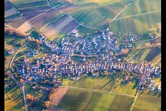 Vue aérienne de Village viticole en hiver entre les vignes nues du nord à Göcklingen dans le département Rhénanie-Palatinat, Allemagne