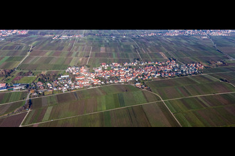 Vue aérienne de Champs agricoles et terres agricoles à Roschbach dans le département Rhénanie-Palatinat, Allemagne