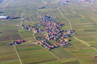 Photographie aérienne de Vue du village viticole en hiver depuis l'est à Flemlingen dans le département Rhénanie-Palatinat, Allemagne