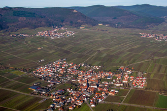 Photographie aérienne de Vignobles à Hainfeld dans le département Rhénanie-Palatinat, Allemagne