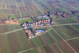 Vue aérienne de Loeonard-Eckel-Siedlung avec terrain de sport du Südhaardter Sportverein 2023 eV et piscine extérieure Edesheim à Edesheim dans le département Rhénanie-Palatinat, Allemagne