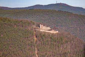 Ruines du château de Rietburg à Rhodt unter Rietburg dans le département Rhénanie-Palatinat, Allemagne d'un drone